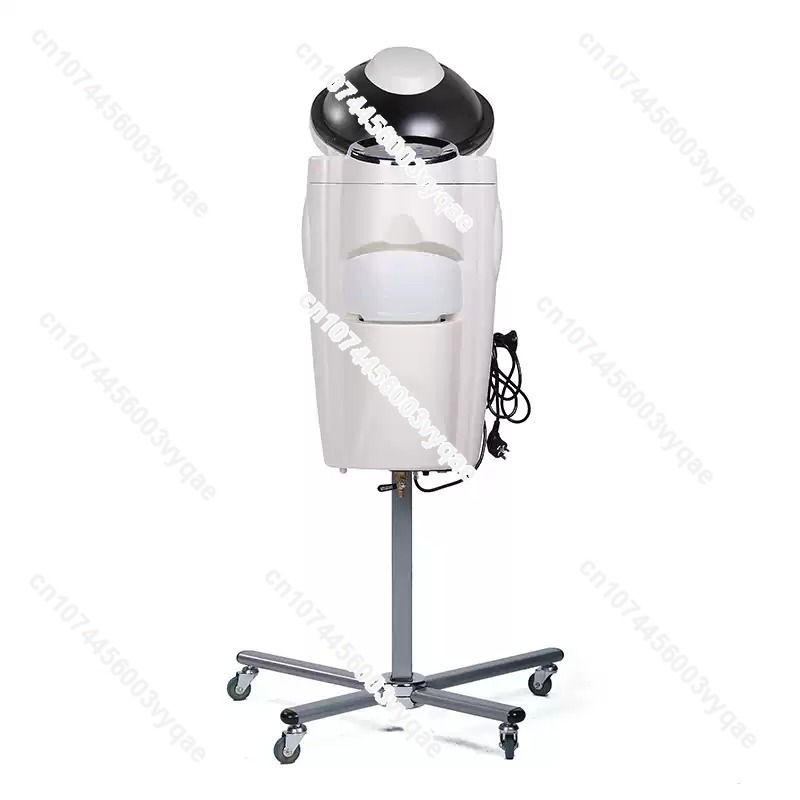 Hair Care Treatment - Oil Treatment Ozone Micro Mist Steam