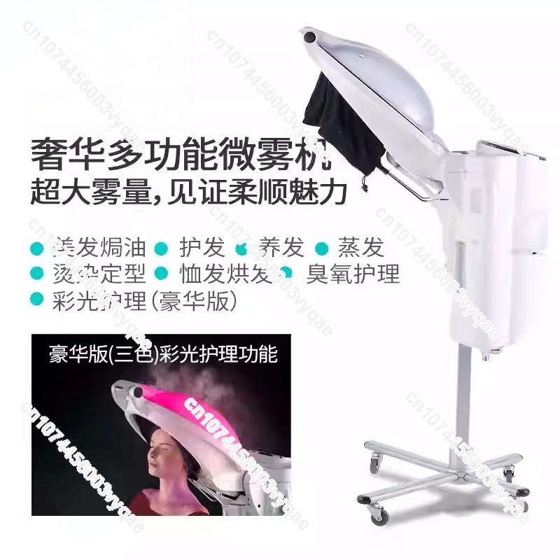 Oil Treatment Ozone Micro Mist - đánh giá và giá Hair Care Treatment
